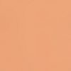 494 Dark Brown